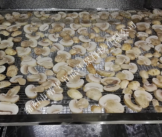 綿陽(yáng)菌類烘干