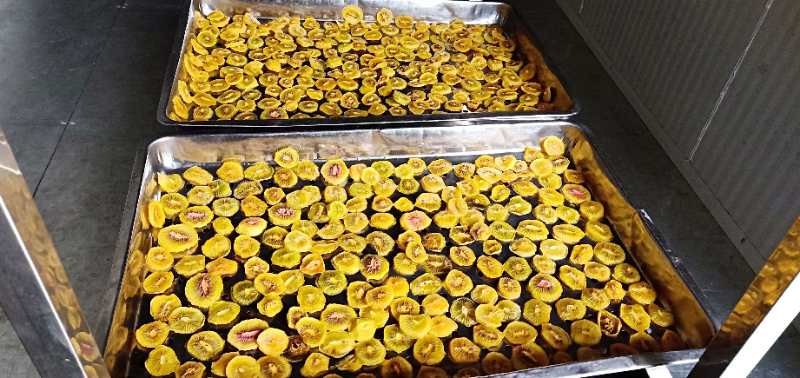 果蔬烘干機技術